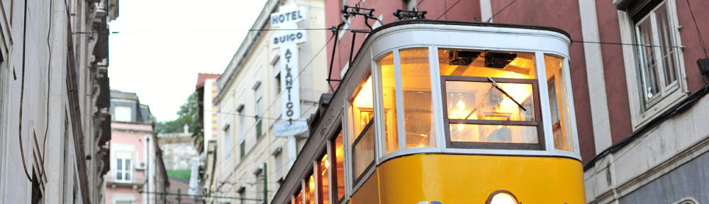 Our Back Yard Garden