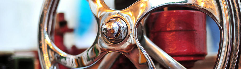 Our Back Yard Garden